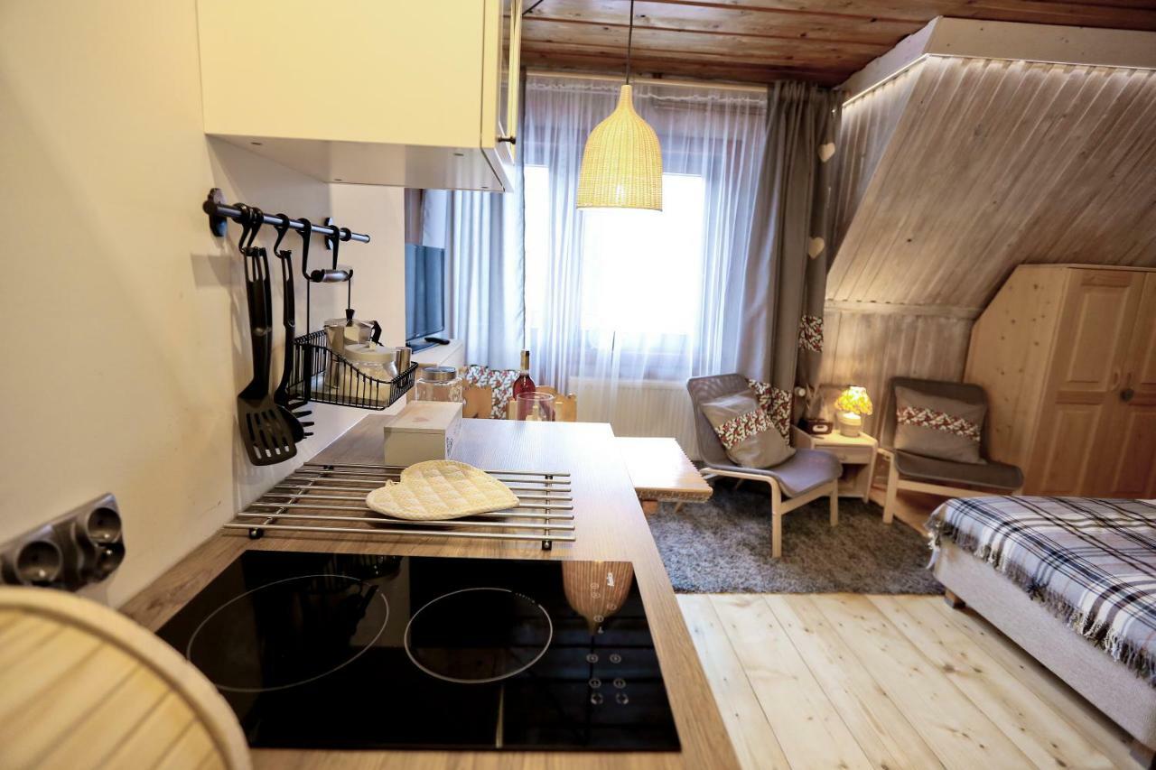 Nosalove Apartamenty Zakopane Extérieur photo